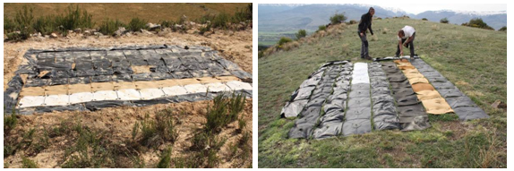 Trials of mulch degradation study in Semiarid and Montane conditions